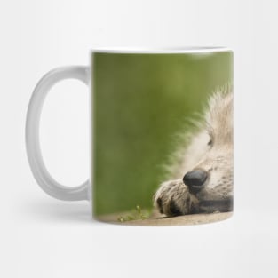 Arctic Wolf Pup Mug